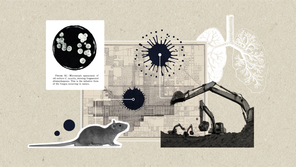 Illustration by Andy Keena/ASU